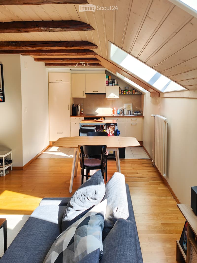Appartement de 2.5 pièces denviron 55 m² (10)