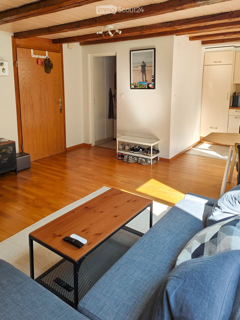 Appartement de 2.5 pièces denviron 55 m² (9)