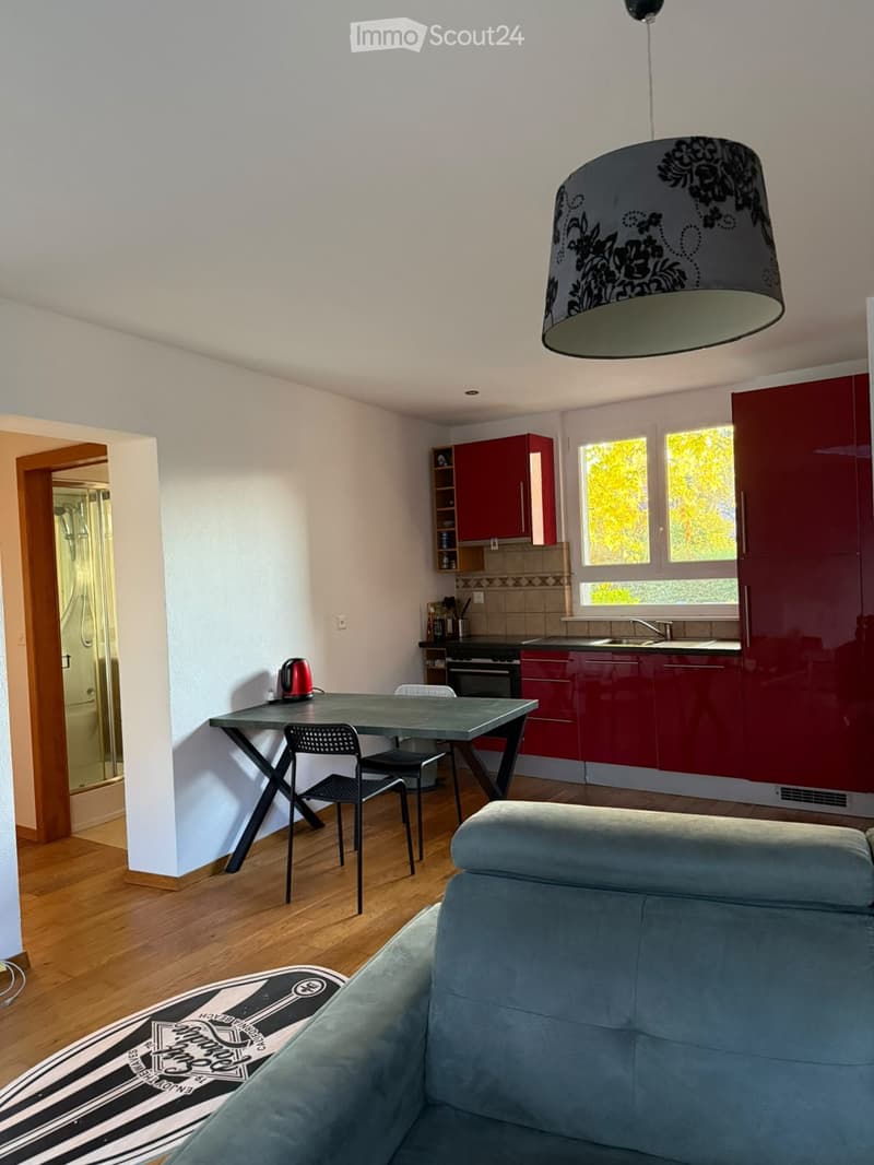 Appartement atypique se libère à Grand-Rue 22 (4)