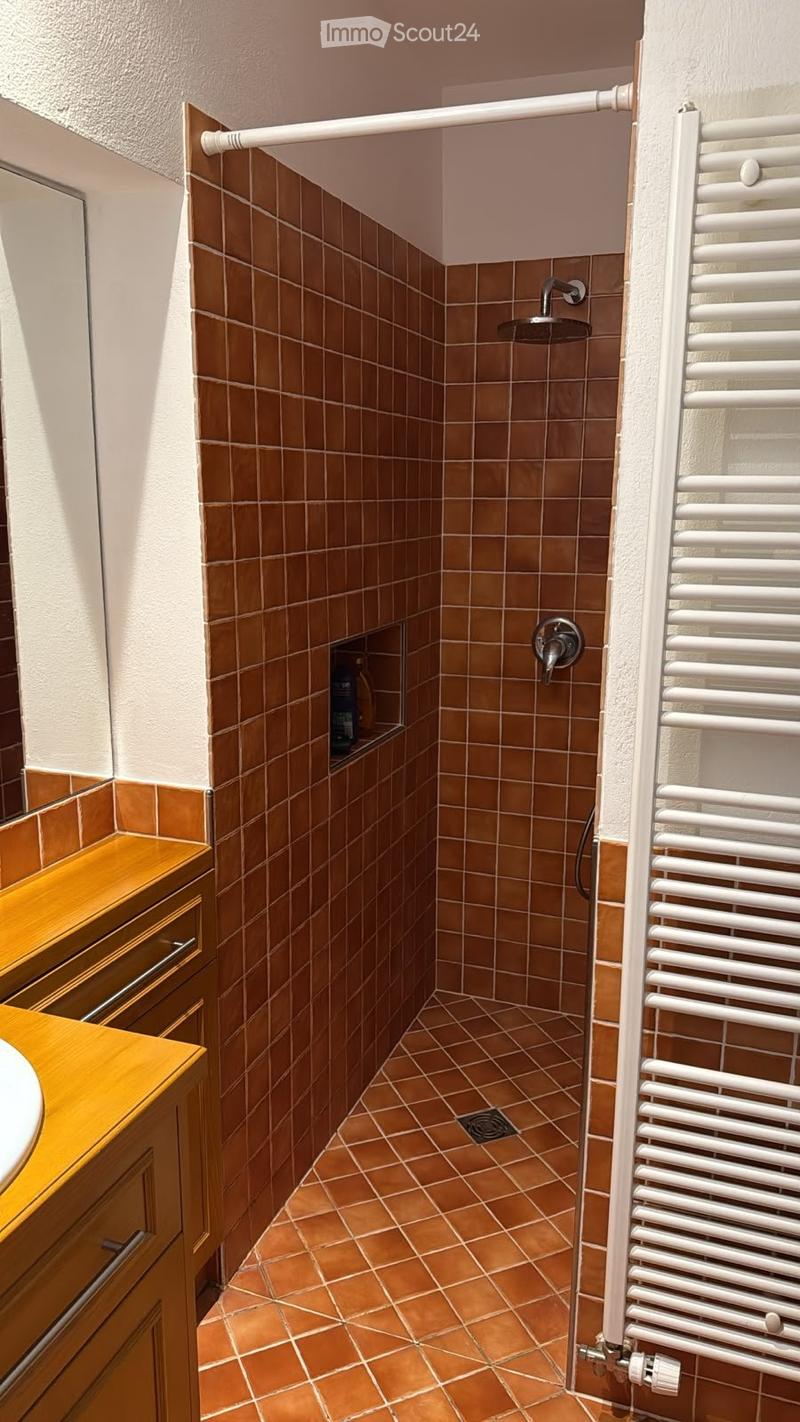 Appartement atypique se libère à Grand-Rue 22 (5)