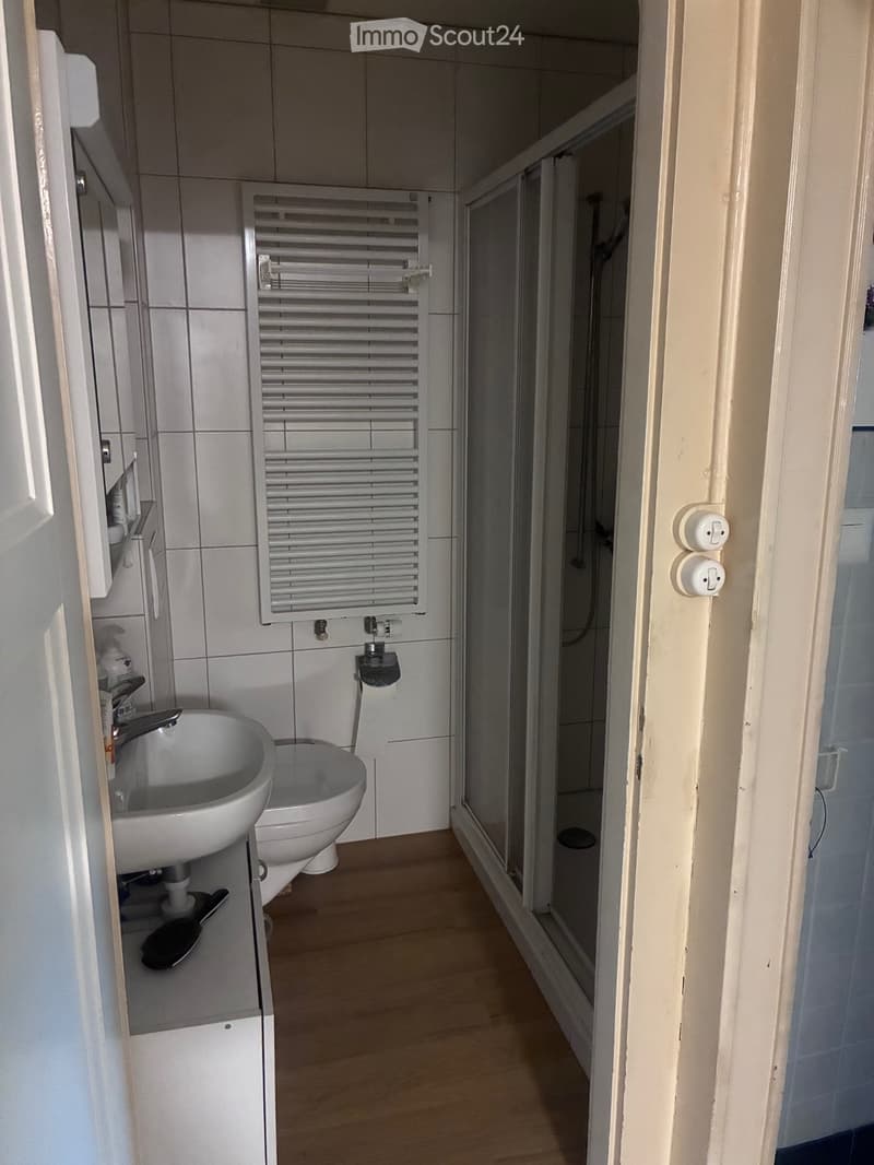 Appartement 3.5 pièces 3ième étage (5)