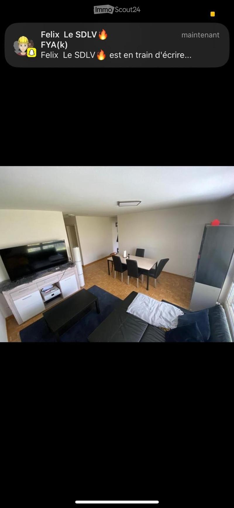 3-Bedroom Apartment in St. Gallen Looking for 3 New Tenants (4)