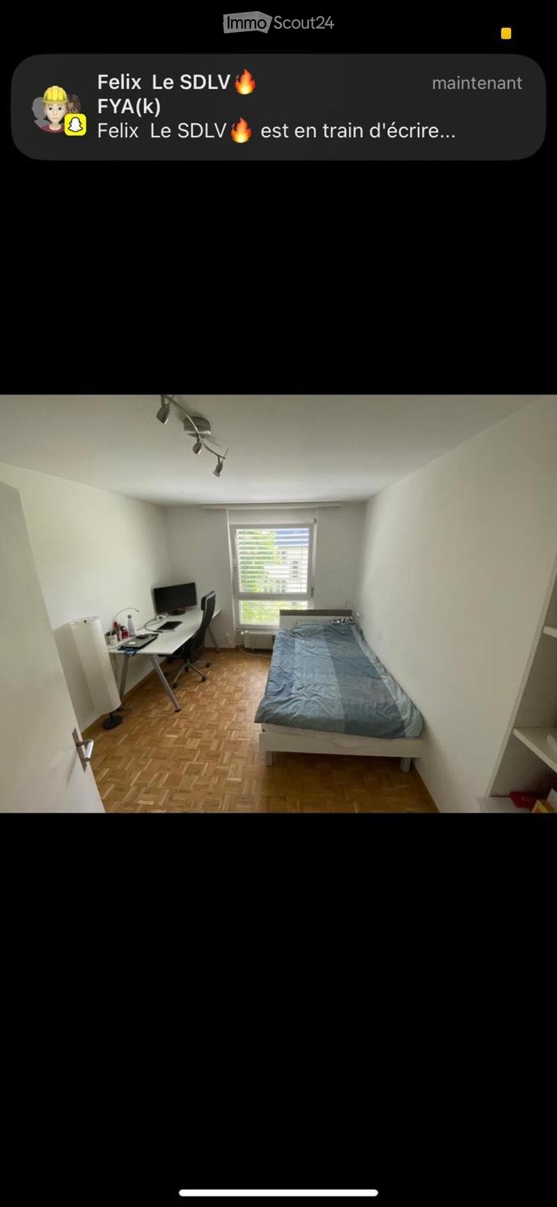 3-Bedroom Apartment in St. Gallen Looking for 3 New Tenants (5)