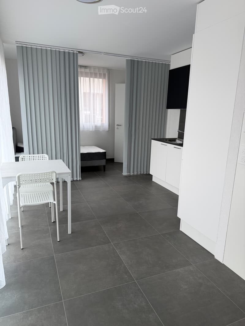Appartement neuf meublé 1 pièce à Yverdon (5)