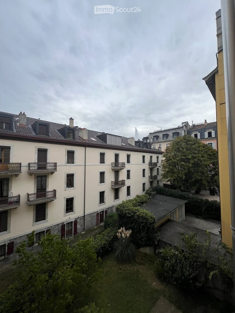 URGENT 3,5 pièces Eaux-Vives (3)