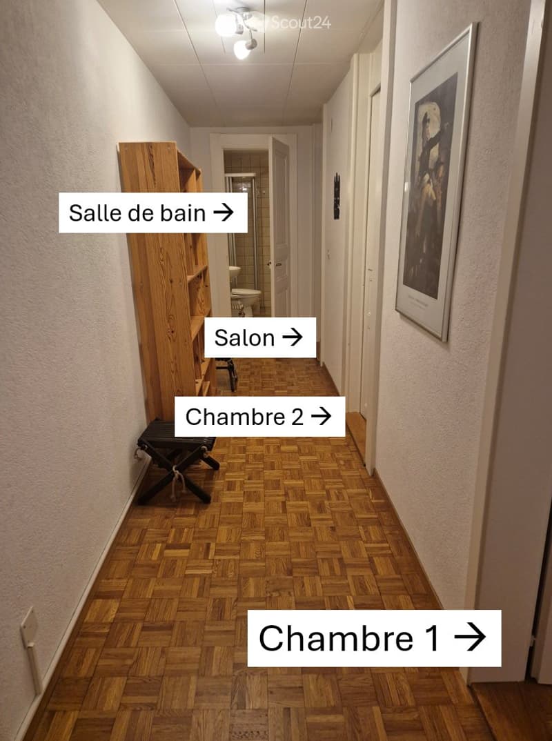 APPARTEMENT NON MEUBLÉ 3 PIÈCES À LOUER DÈS LE 15 SEPTEMBRE (5)