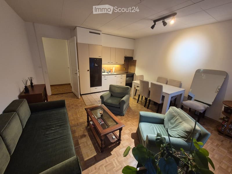 APPARTEMENT NON MEUBLÉ 3 PIÈCES À LOUER DÈS LE 15 SEPTEMBRE (2)