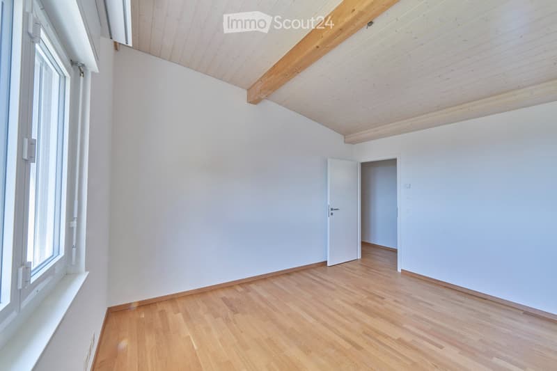 Superbe appartement au dernier étage avec vue sur les Alpes (4)