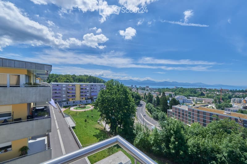 Superbe appartement au dernier étage avec vue sur les Alpes (5)