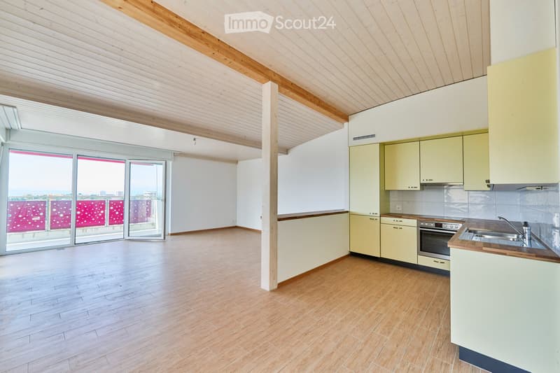 Superbe appartement au dernier étage avec vue sur les Alpes (2)