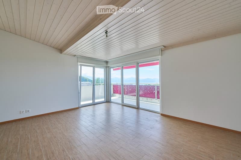 Superbe appartement au dernier étage avec vue sur les Alpes (3)