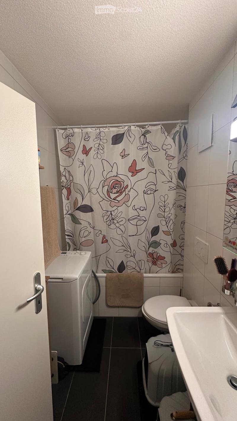 Chessel - Charmant appartement 2,5 pièces sous les toits (4)