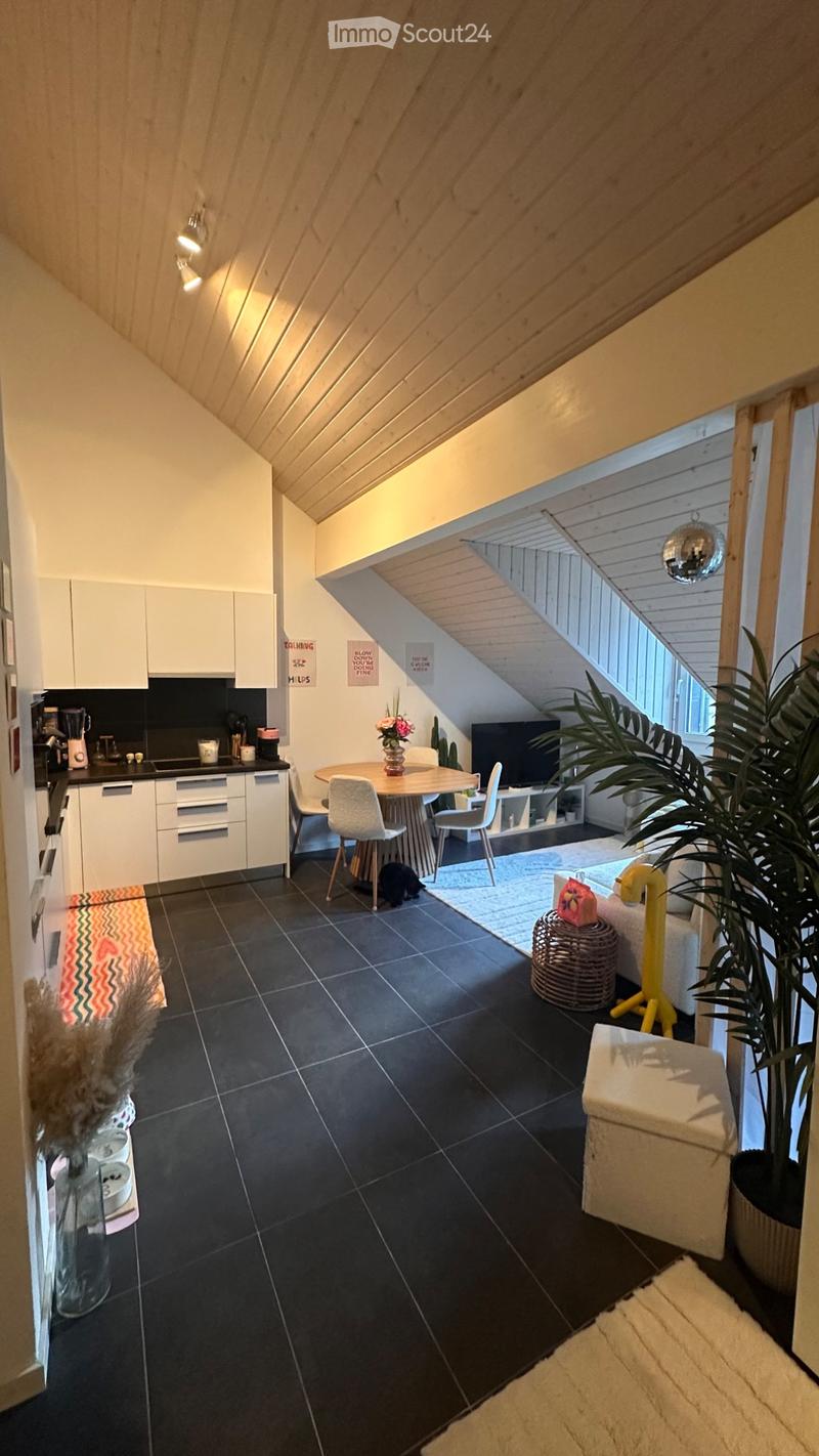 Chessel - Charmant appartement 2,5 pièces sous les toits (1)