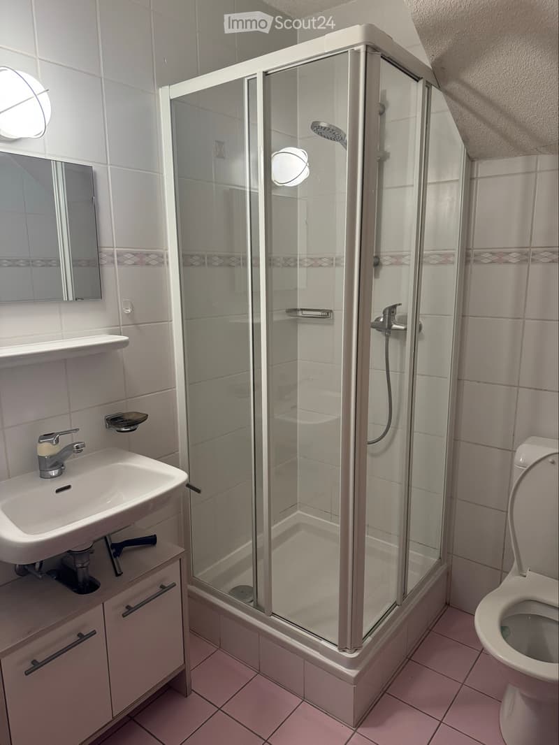 Petit appart. 1p meublé, pied-à-terre du lundi au vendredi (4)