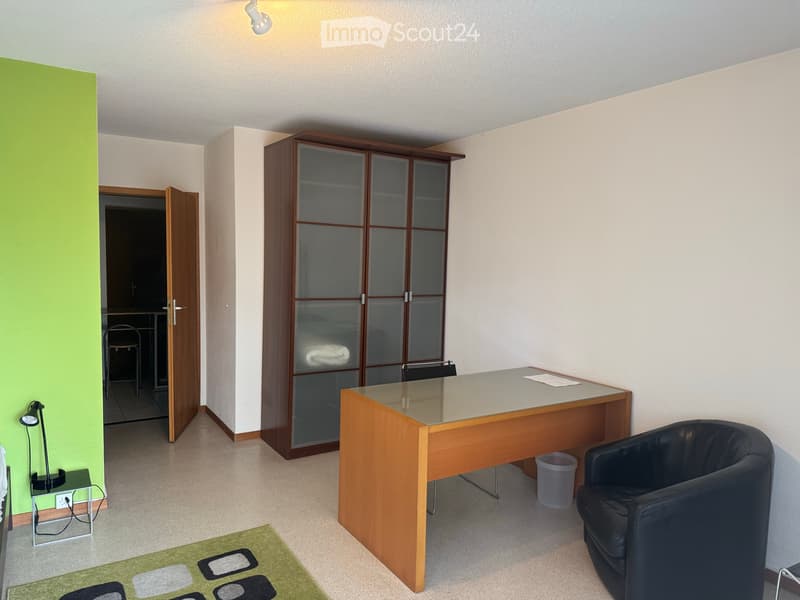 Petit appart. 1p meublé, pied-à-terre du lundi au vendredi (2)