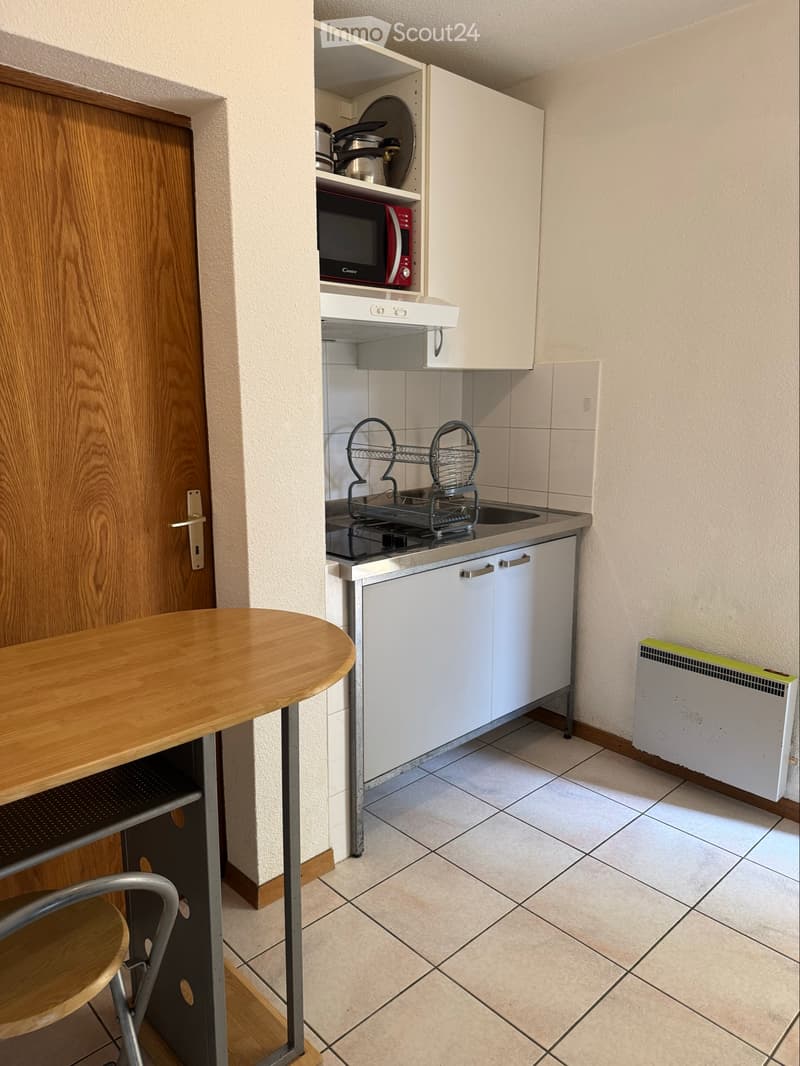 Petit appart. 1p meublé, pied-à-terre du lundi au vendredi (5)