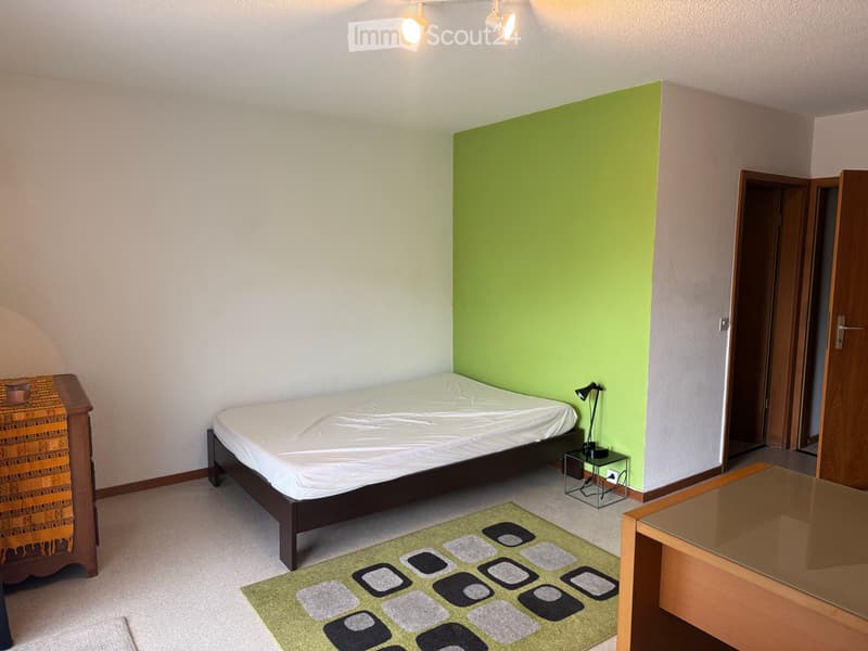 Petit appart. 1p meublé, pied-à-terre du lundi au vendredi (3)