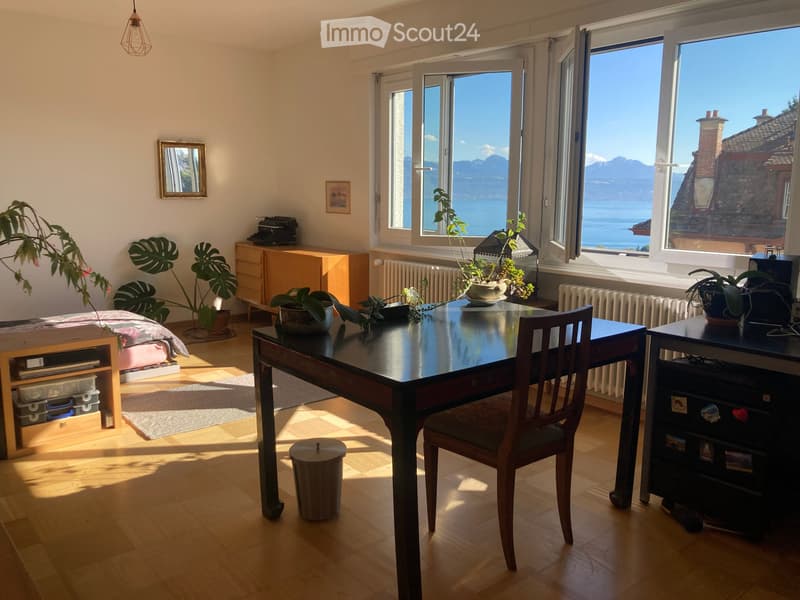 Grand appartement à louer à Chailly (1)