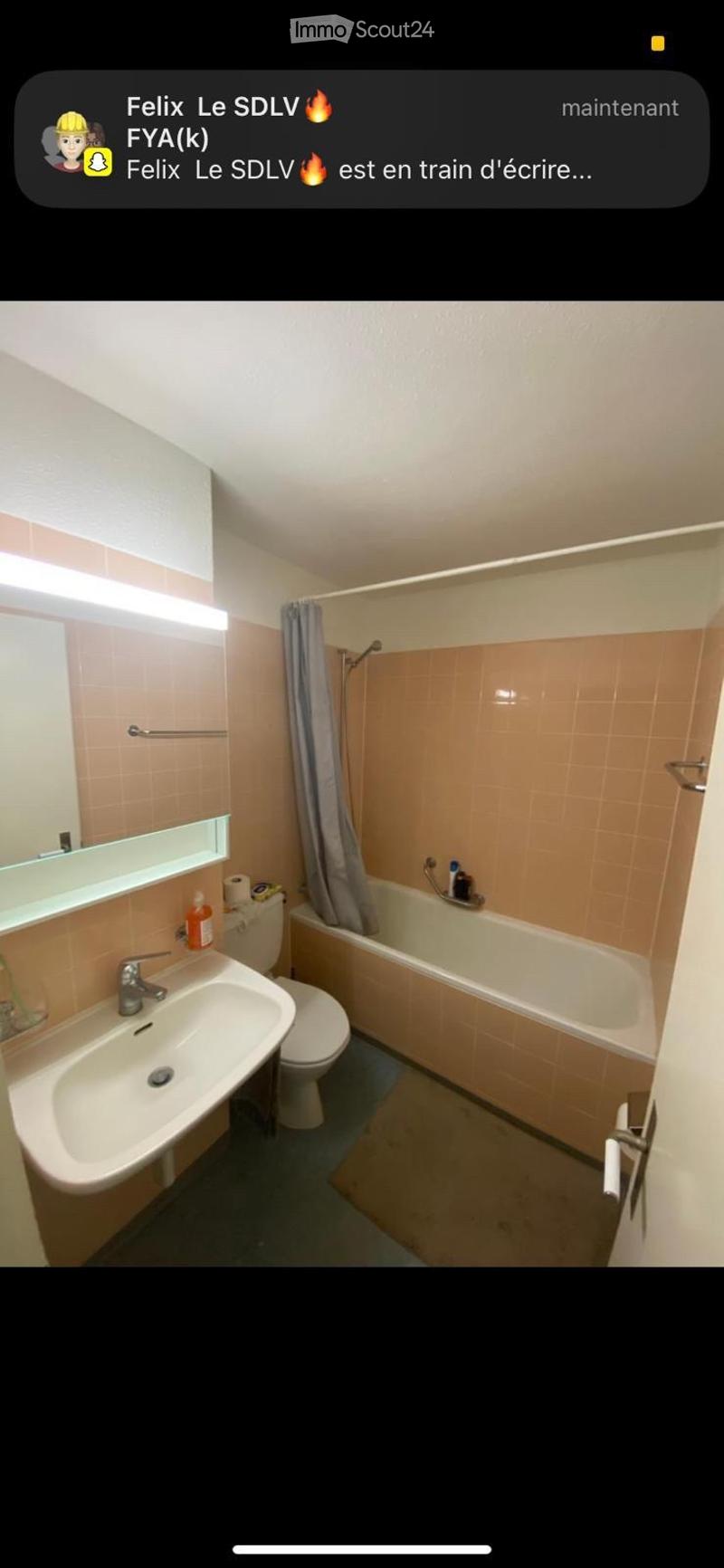 Bedroom Apartment in St. Gallen (5)