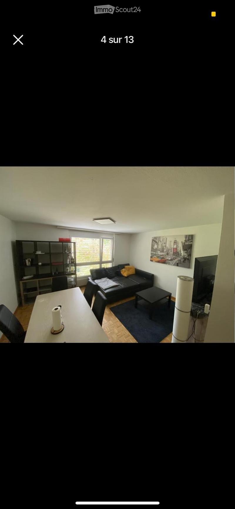 Bedroom Apartment in St. Gallen (4)