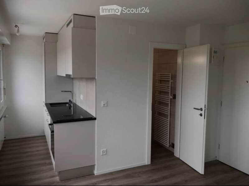Joli Studio calme Cornaux NE (1)