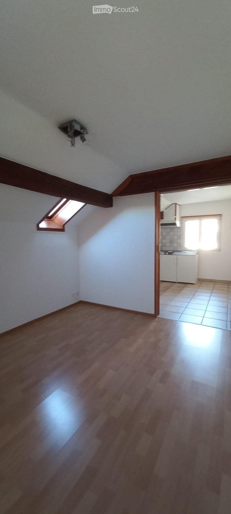 STUDIO BIEN SITUÉ, AU CALME (3)