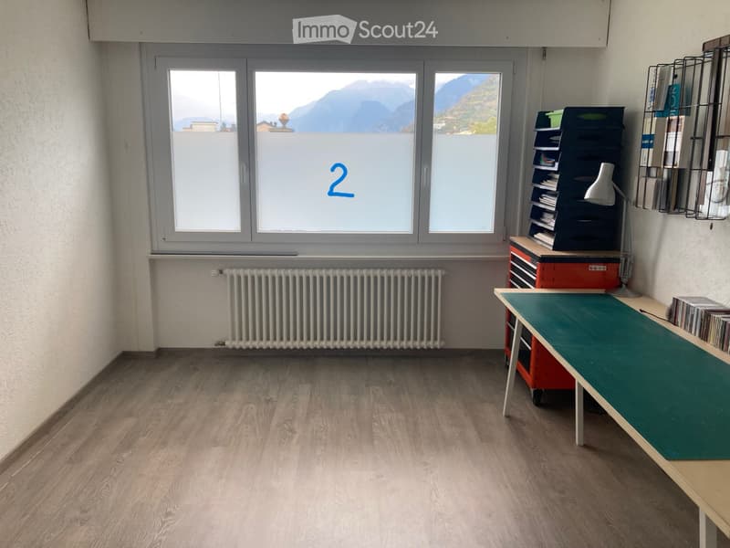 Grand 4 pièces et demie au centre ville (4)