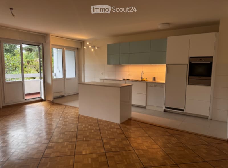 Grand appartement traversant (4)