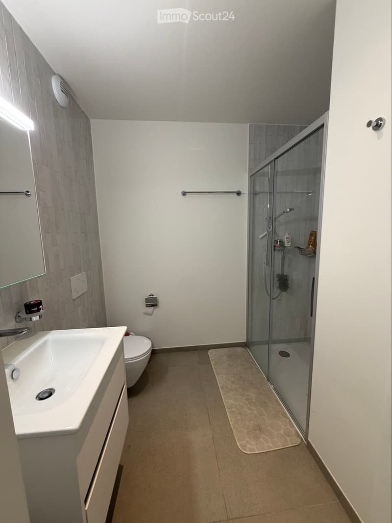 À LOUER  BEL APPARTEMENT 4,5 PIÈCES (4)