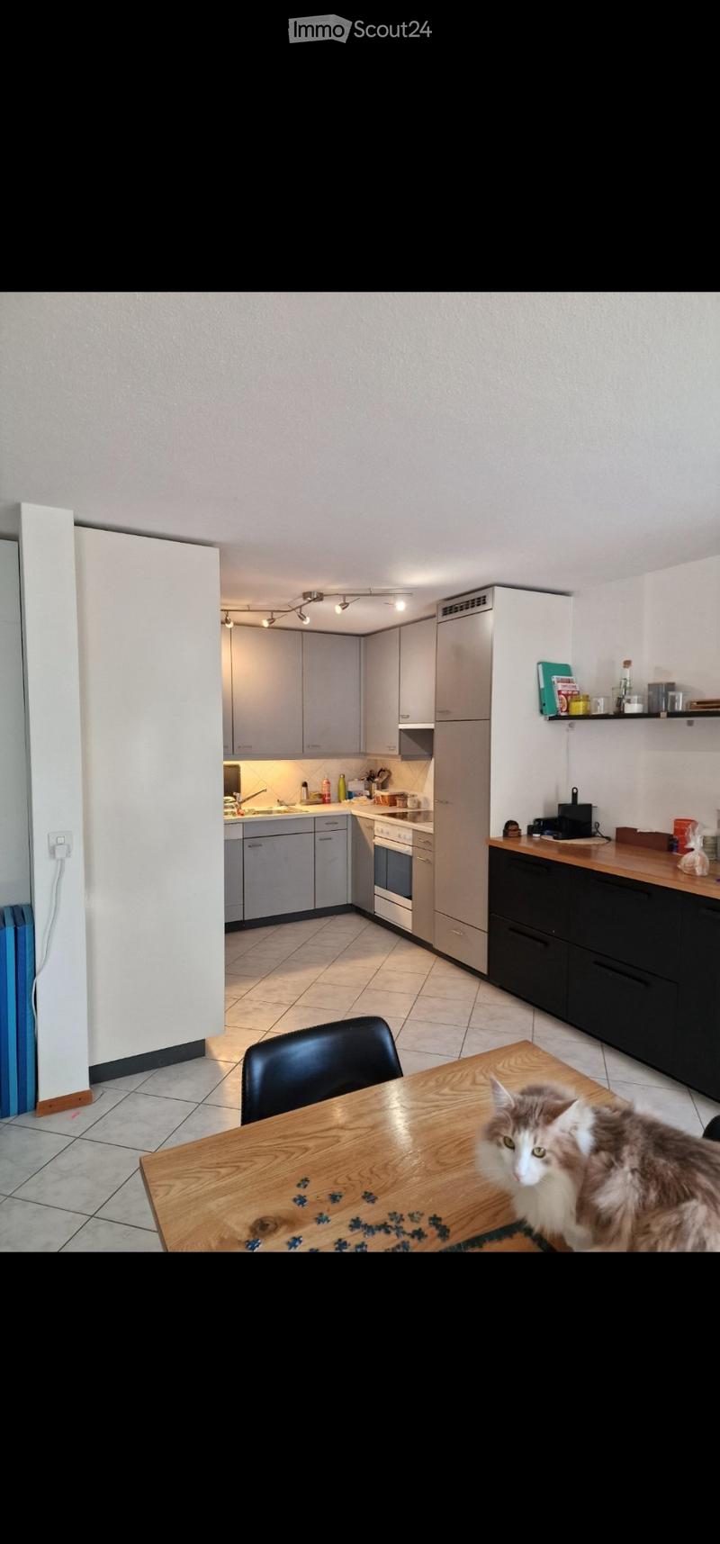 Appartement 4,5 pièces 104 m² Rolle 3 chambres (1)
