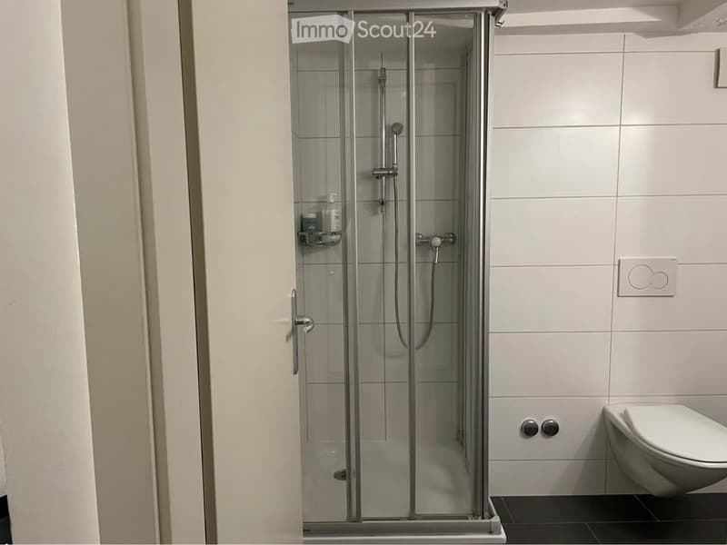 Appartement 2P à louer en centre ville de Neuchatel (4)