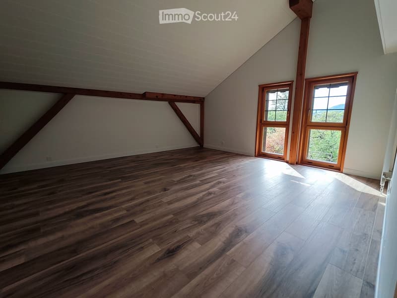 Appartement 4,5 pièces avec écurie et terrain pour chevaux (7)