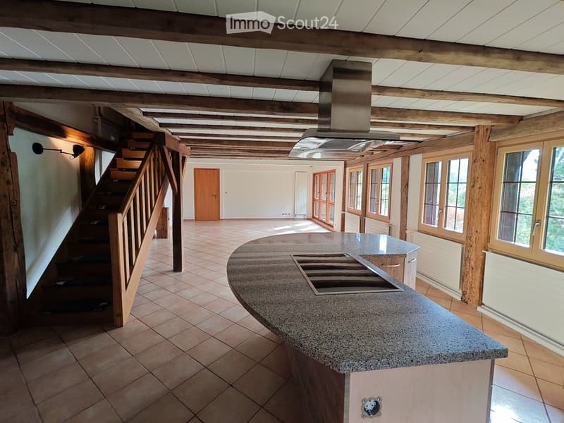 Appartement 4,5 pièces avec écurie et terrain pour chevaux (5)