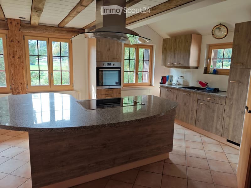 Appartement 4,5 pièces avec écurie et terrain pour chevaux (4)