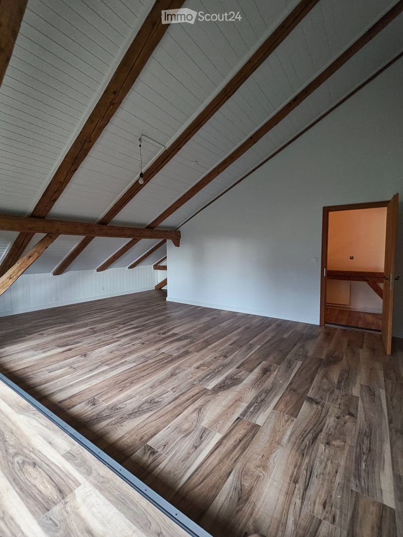 Appartement 4,5 pièces avec écurie et terrain pour chevaux (10)