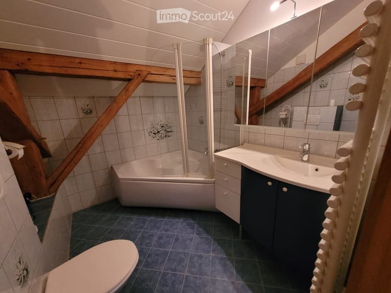 Appartement 4,5 pièces avec écurie et terrain pour chevaux (12)