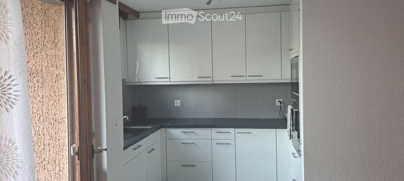 Grand appartement de 4.5pces (3)