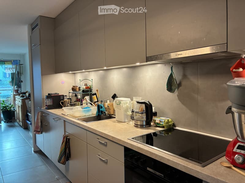Appartement 3,5 pces à louer (4)