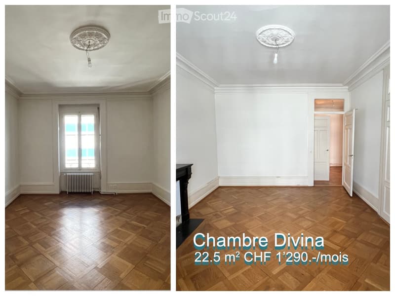 Grande chambre en colocation en centre ville (1)
