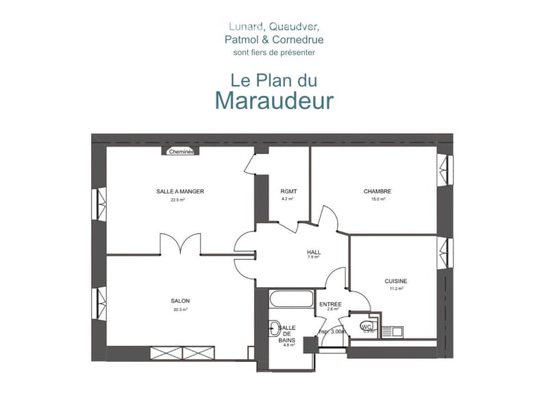 Grande chambre en colocation en centre ville (4)