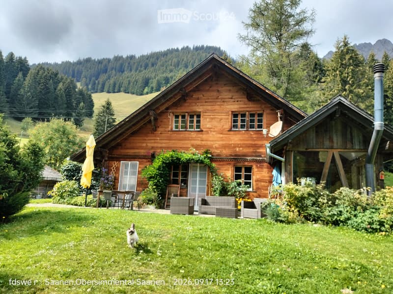 Charmant appartement en duplex à louer (1)