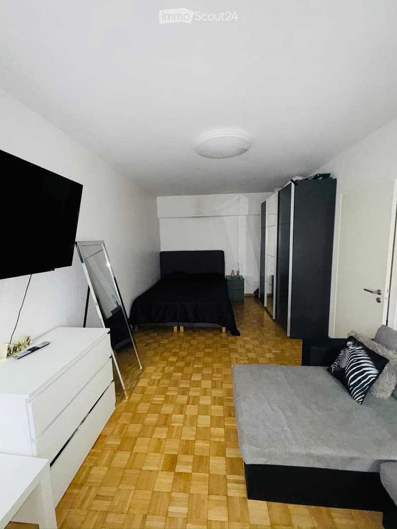 Appartement Genève centre, proche du lac (2)