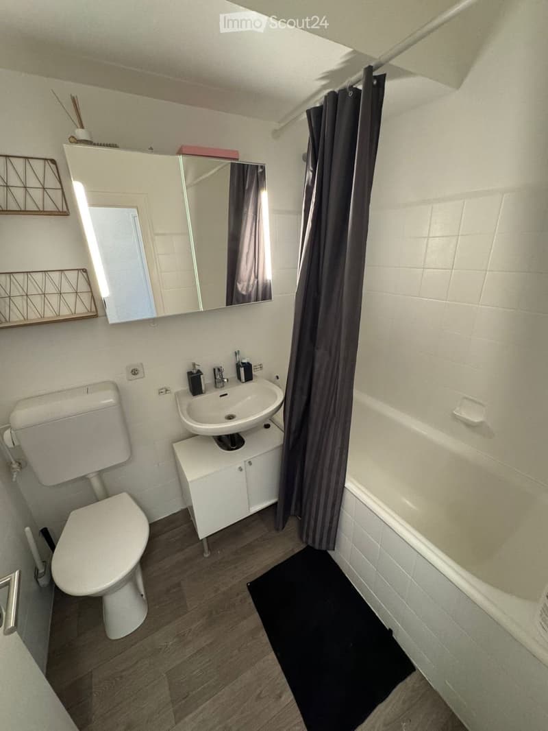 Appartement Genève centre, proche du lac (4)