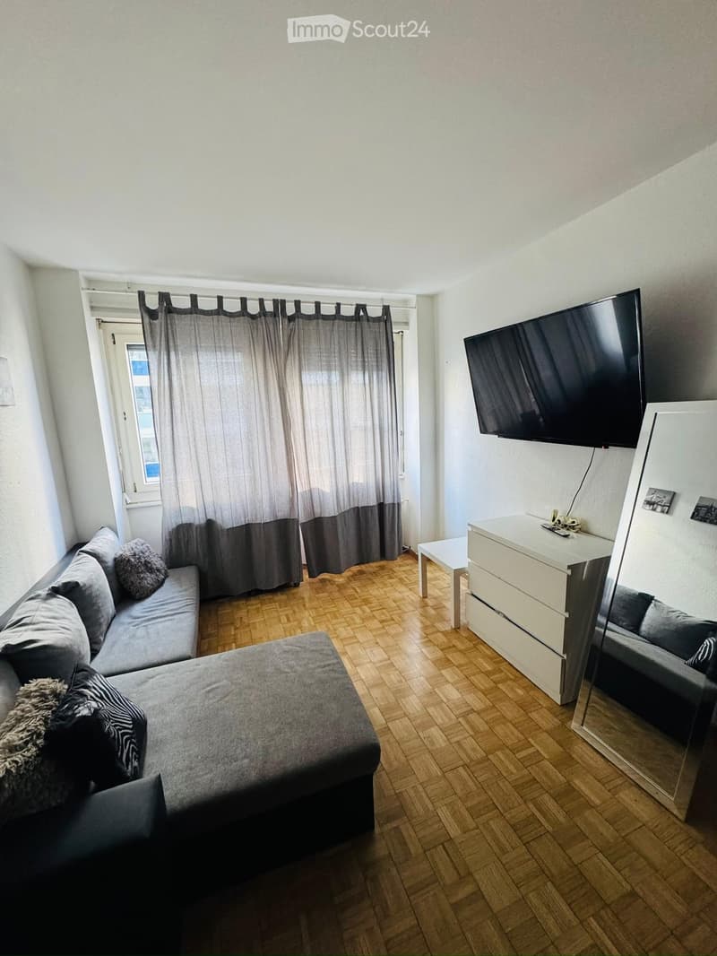 Appartement Genève centre, proche du lac (1)