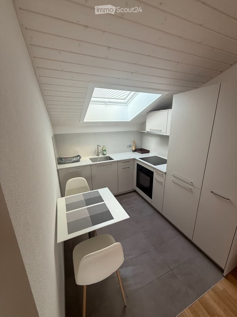 Appartement d'exception hyper central Lausanne (3)