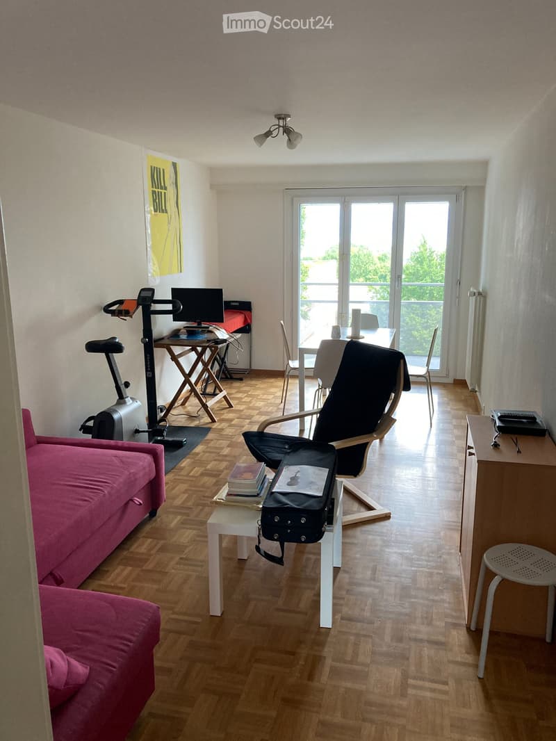 Joli appartement à Rolle avec vue sur le Léman (1)