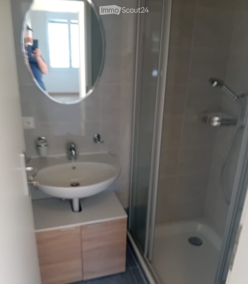 Appartement 4.5 Pces (4)