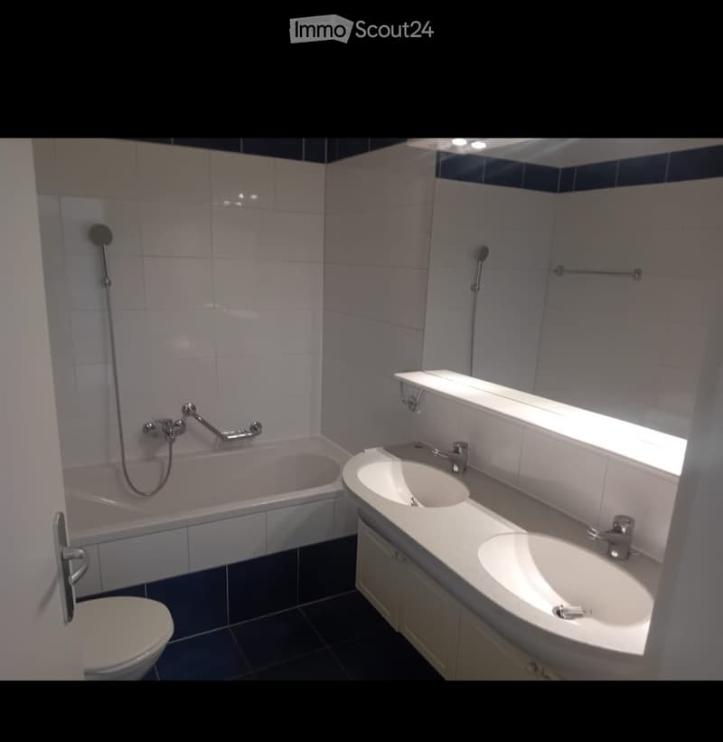 Appartement 4.5 Pces (5)