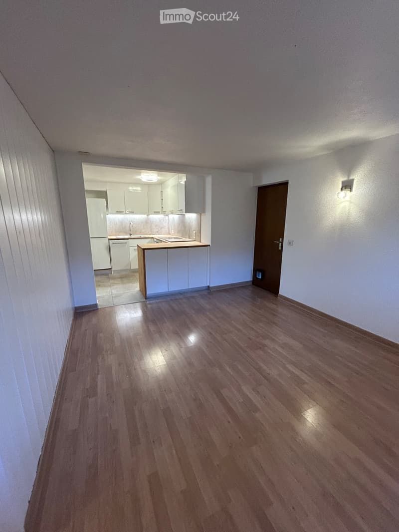 2.5 pièces avec terrasse à Veyras (2)