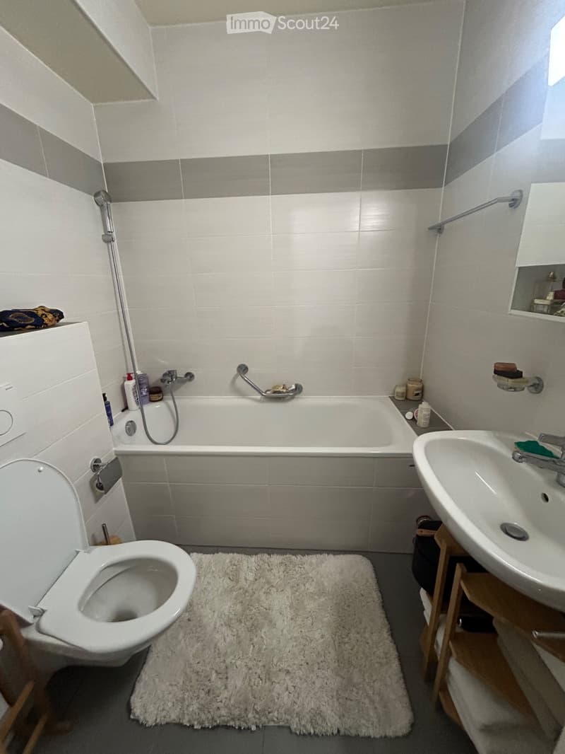 November Short-Term Sublet Perfect Between Two Homes (4)